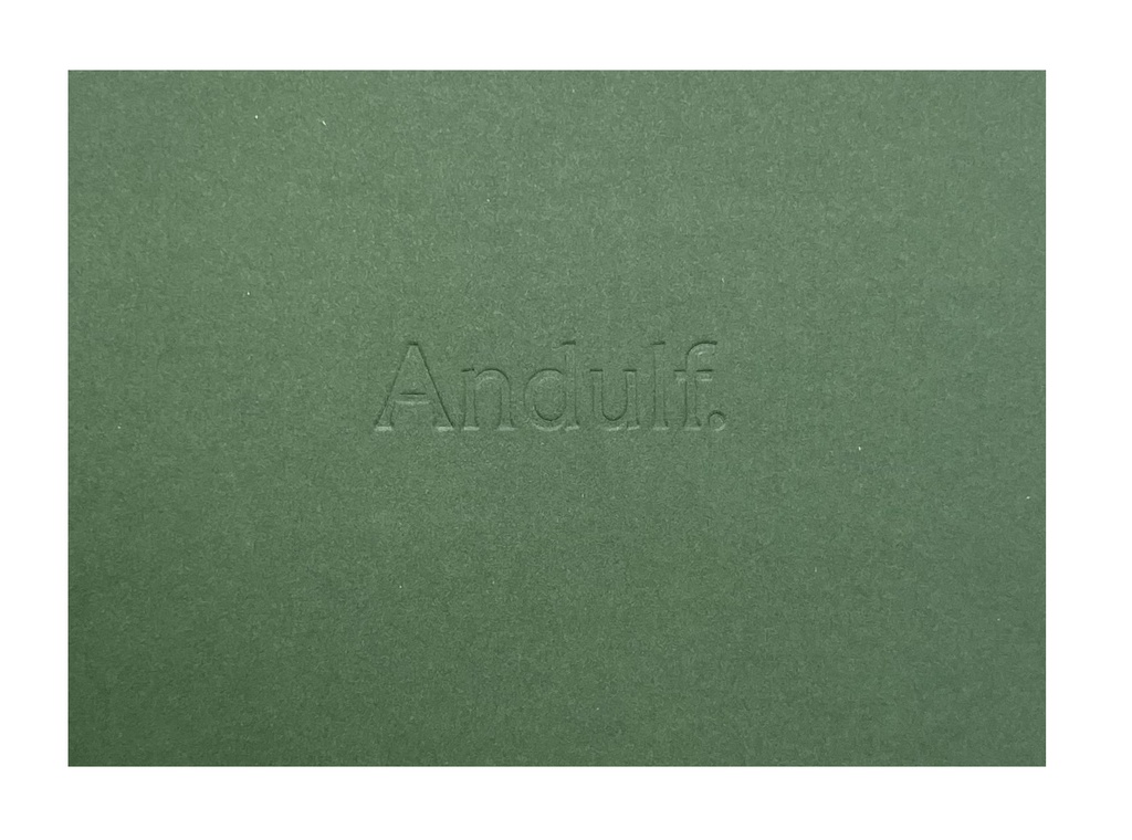 Mapp A4 i papp präglad logo 100st/fp