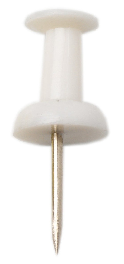 Kartnålar Push-pin vit 25/fp