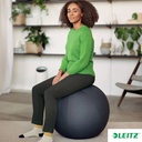 Sittboll Ergo med stopp 65cm
