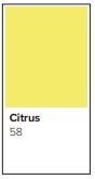 Adagio A3 80g citrus 500/fp