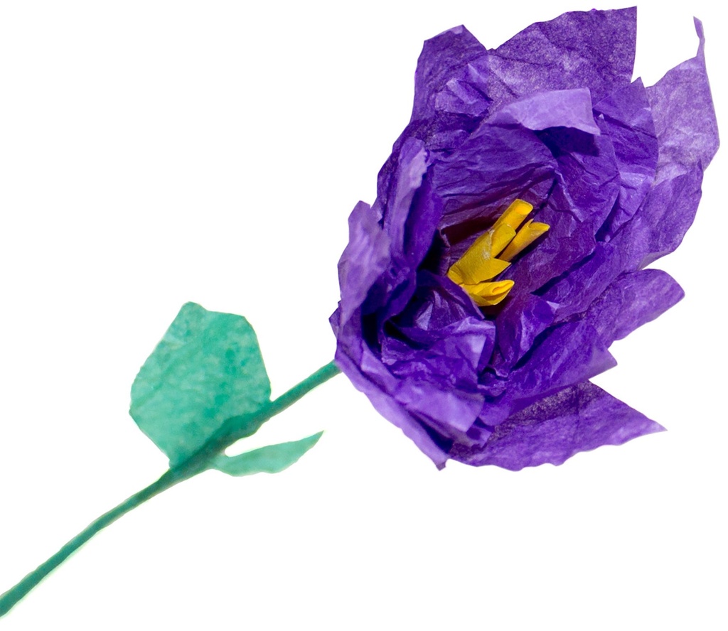 Silkespapper 50x70violet 25/fp