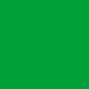 Akrylfärg Pigment 500ml grön