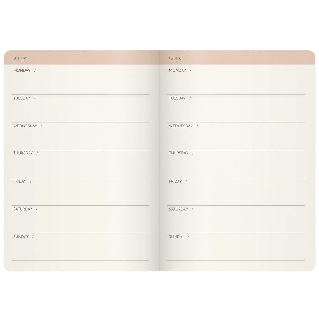 Week Planner Deluxe odaterad