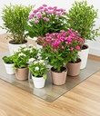 Golvskydd 90x120cm utan piggar