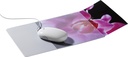 Musmatta PADPLUS transparent..
