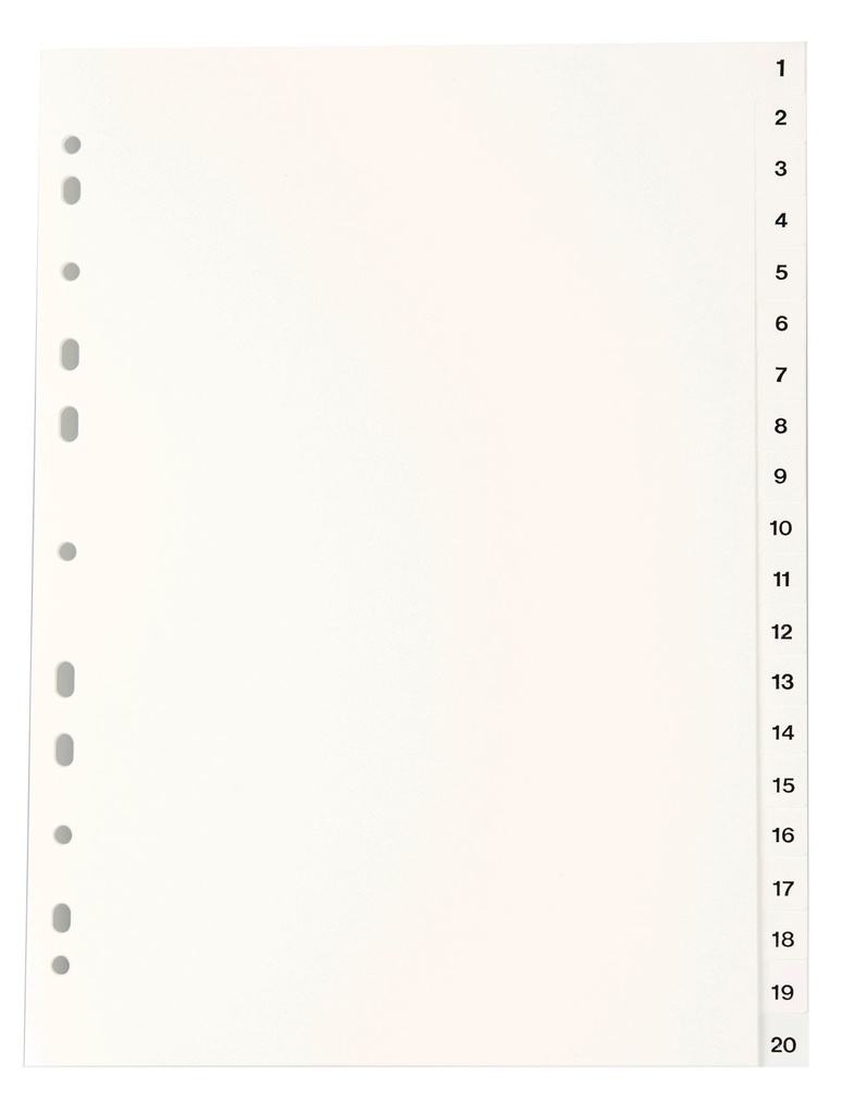 Register vit PP A4 1-20 10st/fp