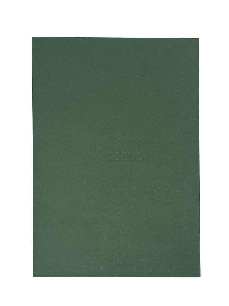 Mapp A4 i papp präglad logo 100st/fp