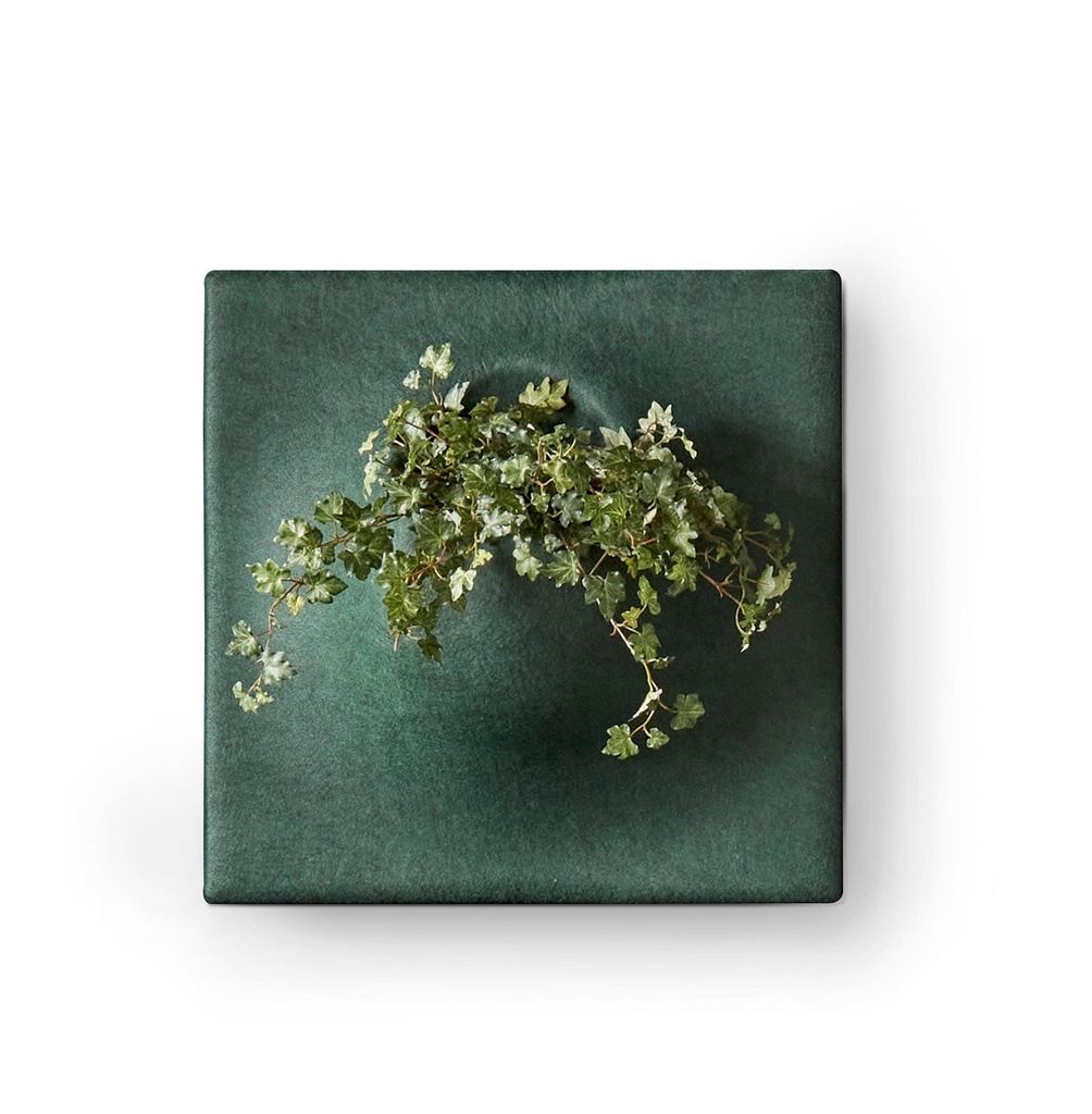 Ljudabsorbent PlantPanel 58x58x21 cm Moss