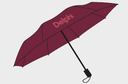 Paraply litet Delphi ROSA 50 st/krt