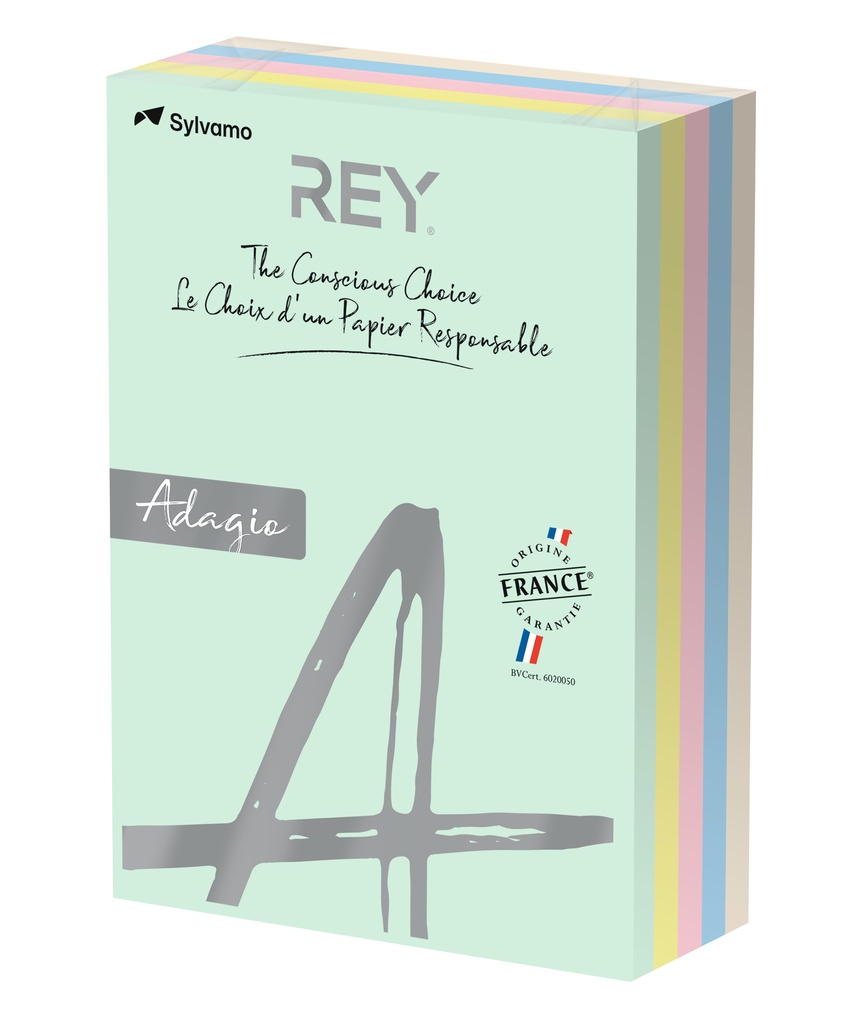 Papper A4 80g pastel 500/fp