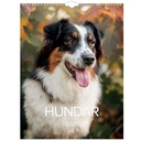 Stora Hundkalendern 2026 vägg