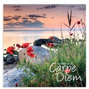 Väggkalender 2026 Carpe Diem