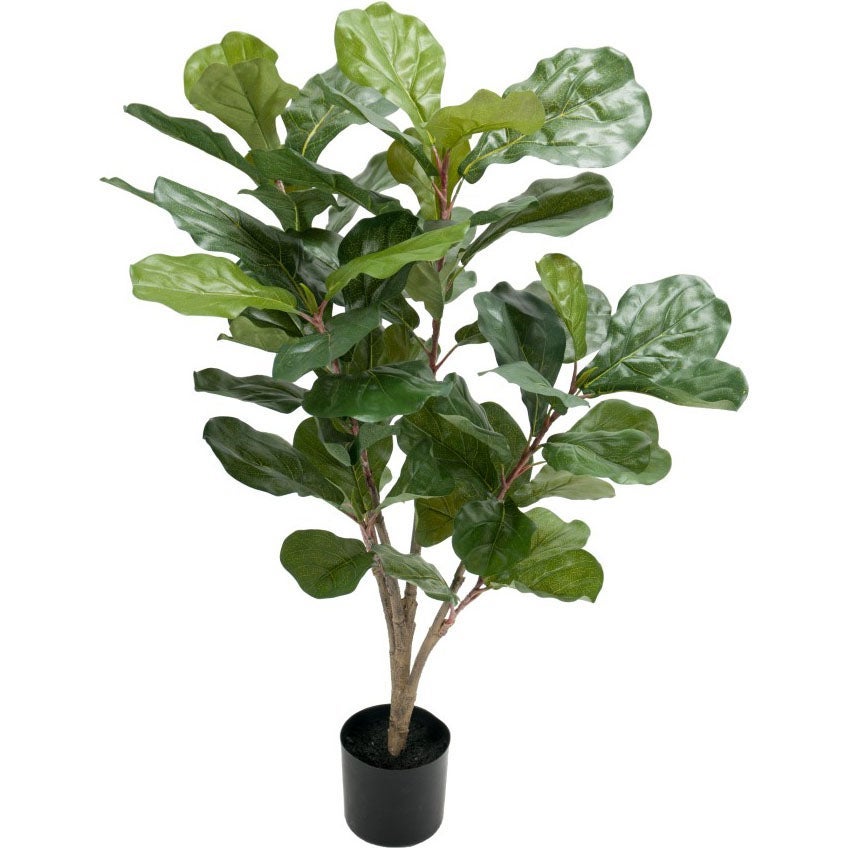 [8558096] Konstväxt Fiolfikus 90 cm
