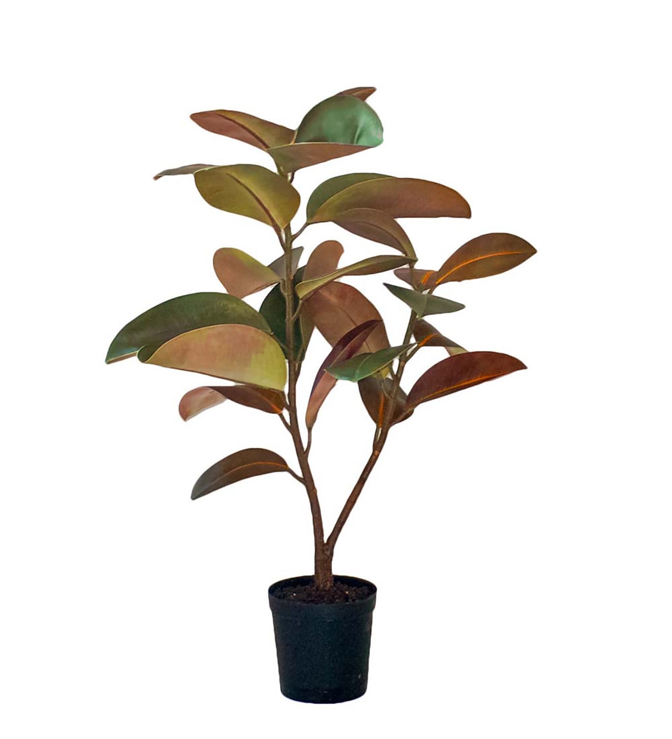 [8563468] Konstväxt Fikus Elastica 90 cm